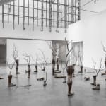 Antonio Obá, Totem, 2016