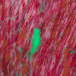 Mimi Lauter, Consequential Landscape, 2020