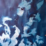 Huang Rui, RUSALKA - 2 The Prince 水仙子 - 2 王子, 2021