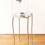 Arabella Chong, Oyster and Pearl, 2023