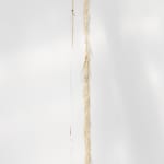 Luca Vanello, Taking refuge between blind actors, turgid stomata guide perspiring limb (Fragments 4), 2022
