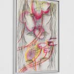 Jacopo Pagin, Wild comunication strategy , 2024