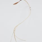 Luca Vanello, Taking refuge between blind actors, turgid stomata guide perspiring limb (Fragments 4), 2022