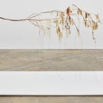 Luca Vanello, Taking refuge between blind actors, turgid stomata guide perspiring limb (Fragments 4), 2022