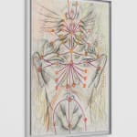 Jacopo Pagin, Wild comunication strategy , 2024