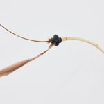 Luca Vanello, Taking refuge between blind actors, turgid stomata guide perspiring limb (Fragments 4), 2022