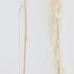 Luca Vanello, Taking refuge between blind actors, turgid stomata guide perspiring limb (Fragments 4), 2022
