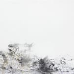 Ann Tracy, (11) Starling Phenomena, 2024