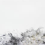 Ann Tracy, (11) Starling Phenomena, 2024