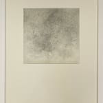 Marsha Skinner, Wild Roses IX, 2022