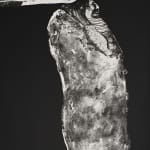 lithograph by Fritz Scholder