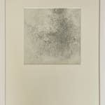Marsha Skinner, Wild Roses IX, 2022