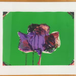 lithograph by Fritz Scholder
