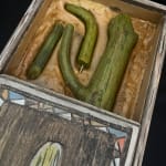 Cactus Box by Wes Mills