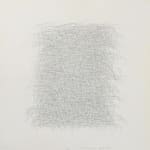 Wes Mills, Trampas Adobe 010, 2022