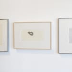 Wes Mills, Trampas Adobe 010, 2022