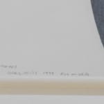Wes Mills, Trampas Adobe 010, 2022
