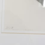 Wes Mills, Trampas Adobe 010, 2022