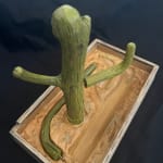 Cactus Box by Wes Mills