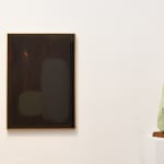 Jonathan Sobol, Untitled #1007