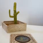 Cactus Box by Wes Mills