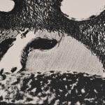 lithograph by Fritz Scholder