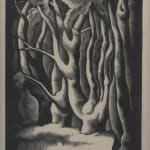 Howard Norton Cook, Taos Indian (Fat John), 1927