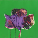 lithograph by Fritz Scholder