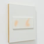 Wes Mills, Trampas Adobe 010, 2022