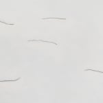 drawing by Wes Mills