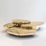 Emmanuel Jonckers, Duality Organic End Table, 2022