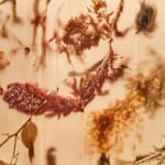 Béatrice Serre, Rivage Lamp, 2022