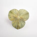 Clotilde Ancarani, Ovale Fan Table, 2025