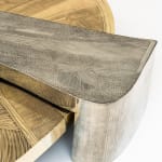 Emmanuel Jonckers, Duality Organic End Table, 2022