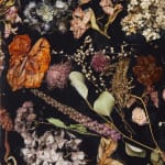 Marcin Rusak, Flora Credenza Misty White 244 Oak, 2023