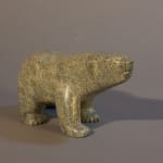 Peter Parr, Polar bear / ours polaire