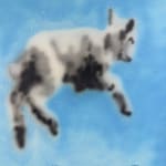 Jack Boucher, Scapegoat, 2024