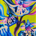 Hayley Youngs, Swamp Orchid, 2025
