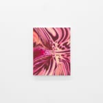 Hayley Youngs, Swamp Orchid, 2025