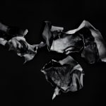 Rushdi Anwar, We have found in the ashes what we have lost in the fire, 2011