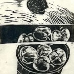 Naoko Matsubara, Fruit ed. 30, 1974
