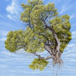 Duane Nickerson, Willow Wind, 2017