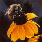 Jennifer Walton, Sweat Bee on Alpine Aster, 2020