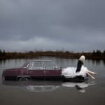 Patty Maher, Swan Song 1/3, 2022