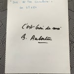 Bernard Aubertin, Livre brulé, 1974