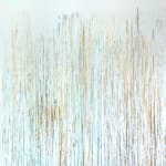 Dimarc, Love is Magic #116