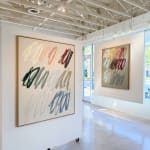 Christina Gschwantner, Chocolate Twirls