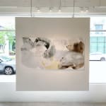 Liz Barber, Summer Sky 2