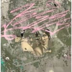 María María Acha-Kutscher, En el fondo del espejo me acecha la vejez 1, 2024