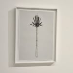 Joan Pallé, Coche en llamas, 2018